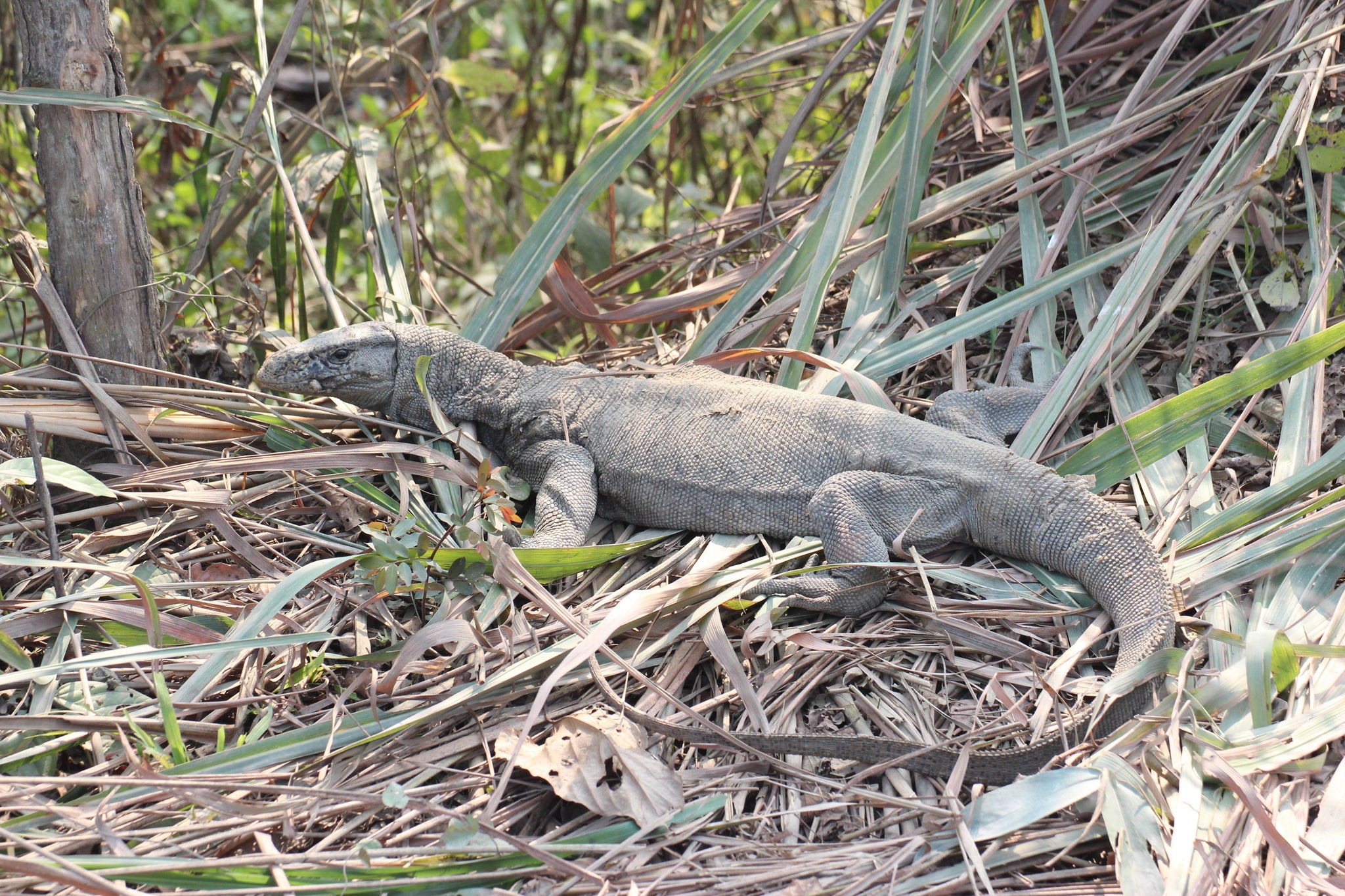 Journey to my paternal village